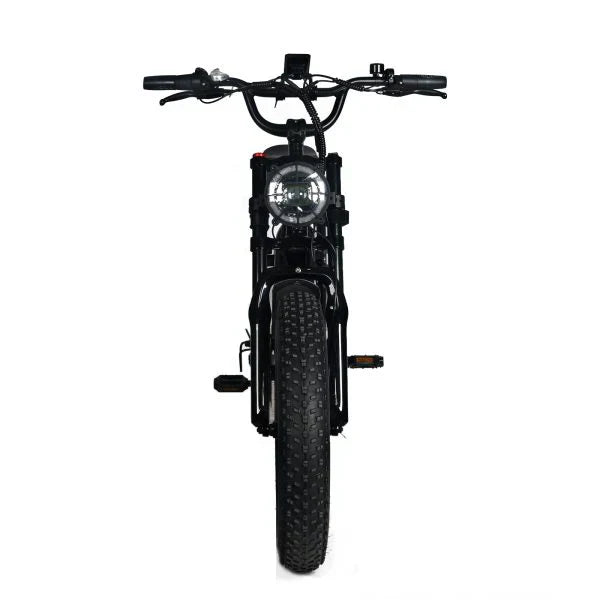 Electric Mountain Bike for Adults | 20 x 4.0 Fat Tires, 1000W Motor, 48V 20Ah Removable Battery, Max Speed 45MPH, Shi Mano 7-Speed for Off-Road Adventures