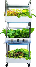Hydroponics Growing System Plant Germination Kits Hydrophonic Planter for Indoor Garden Vegetable Herb Microgreens Growing Aerogarden Gardening Gifts 36 Large Pods(≈ 5X Small Pods)
