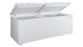 Beach 21 Cu. ft. Chest Freezer, Double Doors, HZ9212, White