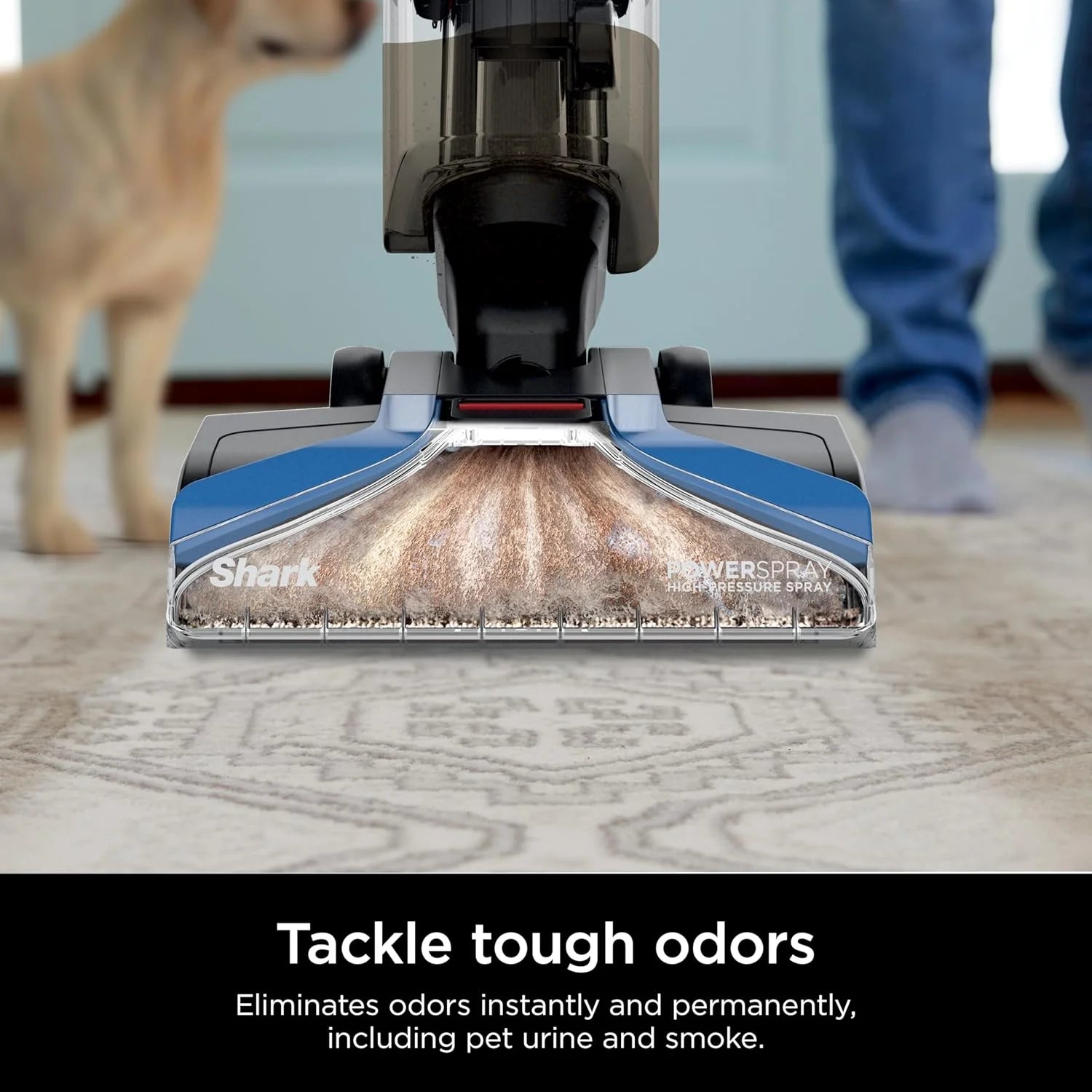 Shark CarpetXpert EX201 Carpet Cleaner, Cyan – Deep Cleaning with StainStriker, Perfect for Pets, Includes Spot & Stain Remover Tools